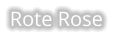 Rote Rose